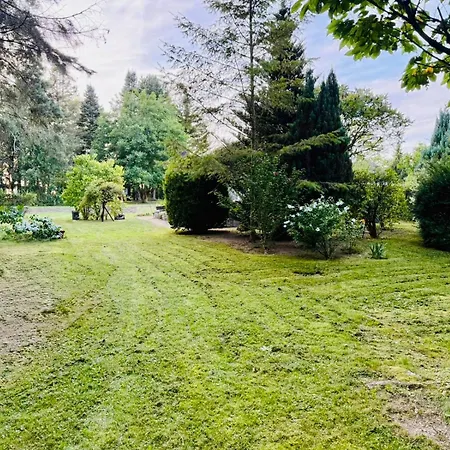 Im Gruenen - Entspannen Mit Alpakas Treuen