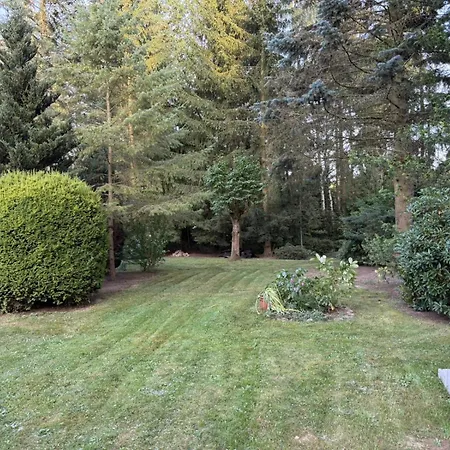 Im Gruenen - Entspannen Mit Alpakas * Treuen