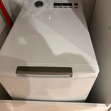 Im Gruenen - Entspannen Mit Alpakas Treuen